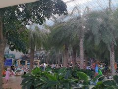 -渔岛海洋度假区