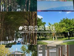 -荔湾湖公园