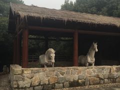 -白马涧龙池景区