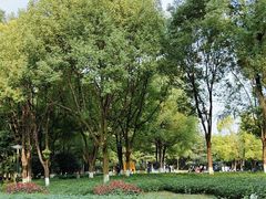 -重庆彩云湖湿地公园