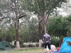 -永定河休闲森林公园