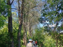 -溱湖国家湿地公园