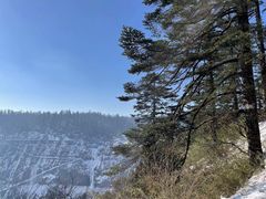 -瓦屋山景区