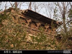-木塔寺遗址生态公园