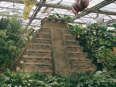 -南宫五洲植物乐园