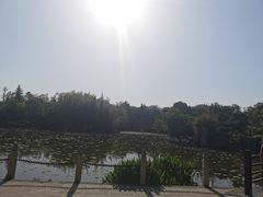 -朴园
