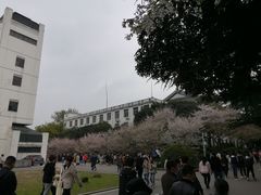 -武汉大学-樱园