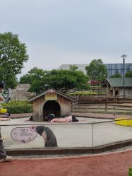 -造物庄园 萌宠纪(苏州湾歌林公园店)