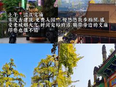-老鼎万春卤菜(五代传承创始老店)