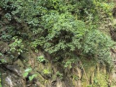 -英西峰林·洞天仙境