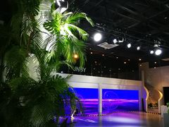 -精绝七日-新疆尼雅遗址数字大展【拉法耶文化艺术中心】