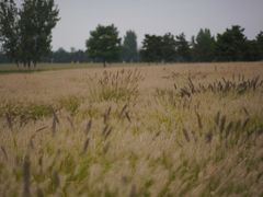 -汉长安城未央宫国家考古遗址公园