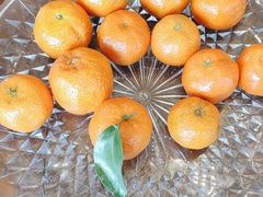 -高老庄新家宴(北斗星广场店)