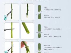 -亭亭鲜花店(中山北路店)