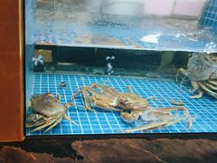 -诚园新喜洋餐厅