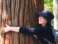 -天目山大树王景区