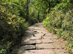 -杭州半山国家森林公园