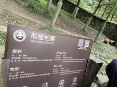 -都江堰中华大熊猫苑