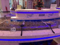 水产区-澜悦港海鲜体验主题餐厅