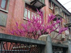 -上海鲁迅故居