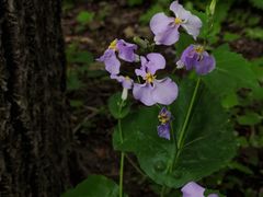 -长春公园(普阳街道)