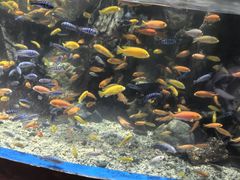 -太平洋海底世界