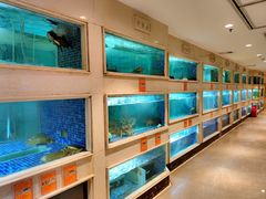水产区-顺峰(农展馆店)