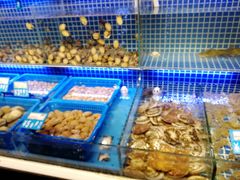 -必点海鲜·鲅鱼水饺(鞍山西道店)