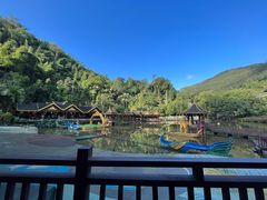 -西双版纳原始森林公园