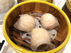 金鼎鮮味虾饺皇-广州酒家(文昌总店)