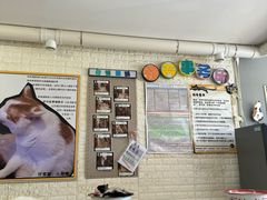 -平行世界·猫咖(首经贸店)