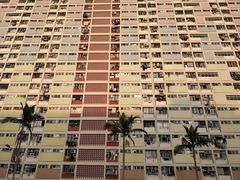 -彩虹村