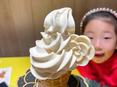 -麦当劳(普陀香溢花城店)