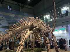 -自贡恐龙博物馆