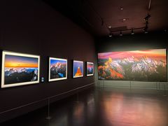 -罗红摄影艺术馆