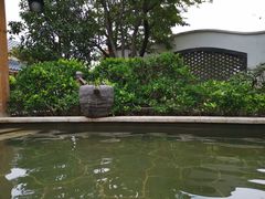 -郑州银基黄帝宫御温泉