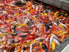 -番禺宾馆丽苑厅