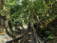 -岳西天峡风景区
