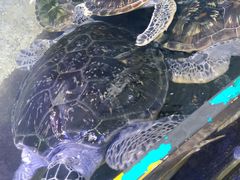 店内环境-鸿通城购物中心