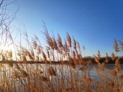 -大兴滨河森林公园