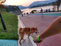 -泡椒王自助铁板烧(天生丽街店)