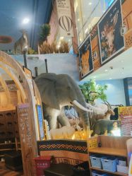 -卡通尼·Safari非洲探索乐园·生日会(金桥国际商业广场店)