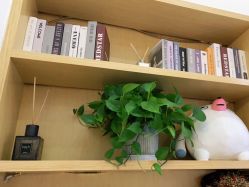 -WENDY·温迪皮肤管理