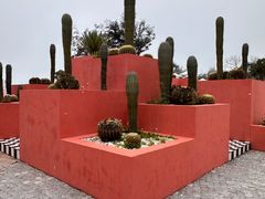 -漳州滨海火山岛自然生态风景区