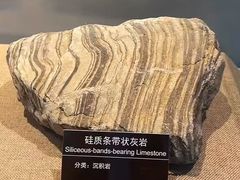 -甘肃地质博物馆