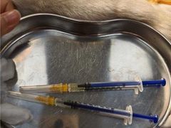 -瑞鹏宠物医院·普外科·影像科·皮肤科(城市山谷分院)