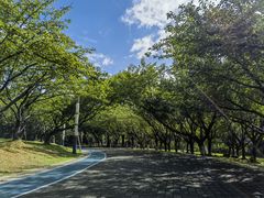 -苏州河梦清园环保主题公园