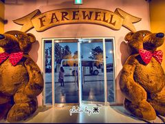 -济州岛泰迪熊博物馆