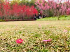 -上海市龙华烈士陵园