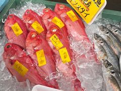 -南纪白浜Toretore市场